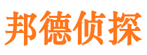 桃山邦德私家侦探公司